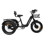 Trinity Foldable E-Trike