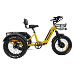 Trinity Foldable E-Trike