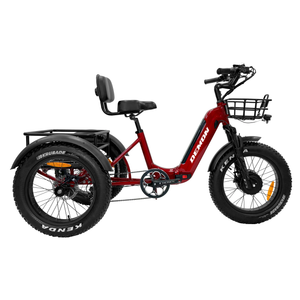 Battery powered tricycle for adults online